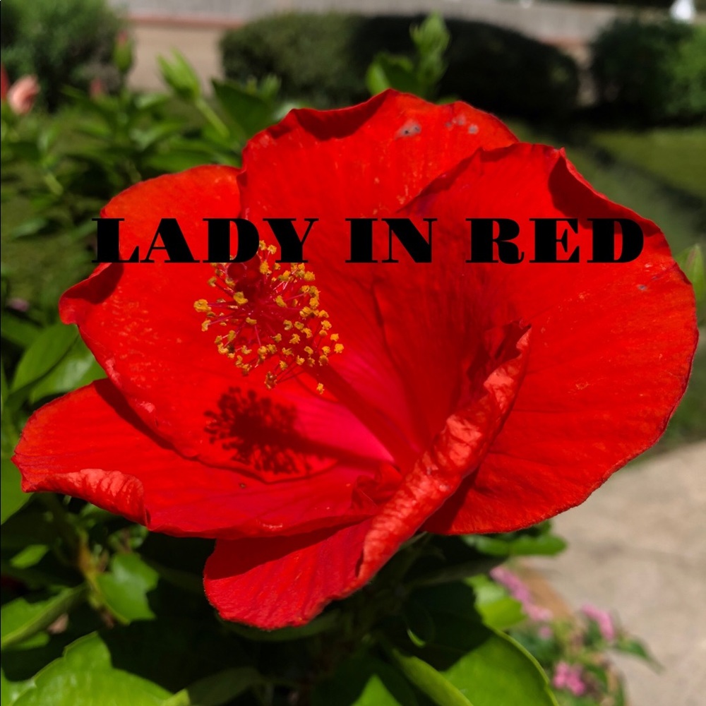 Meet your Posher, Sal